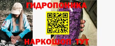 шишки Малгобек