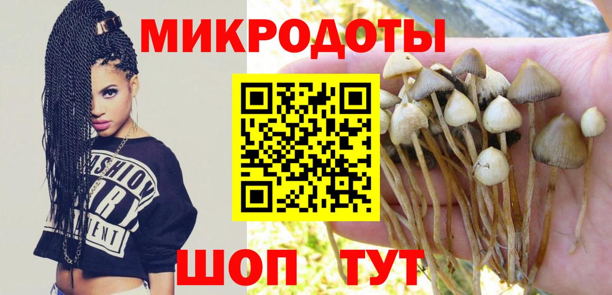 Вязьма  Псилоцибиновые грибы Psilocybe  Вход с VPN 