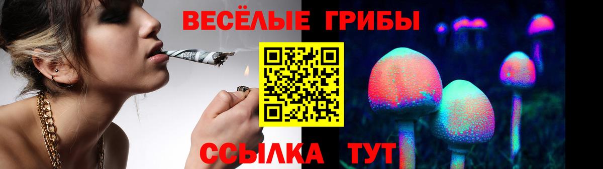Псилоцибиновые грибы Magic Shrooms Вязьма